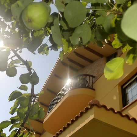 Posada Las Garzas Santona Exterior photo