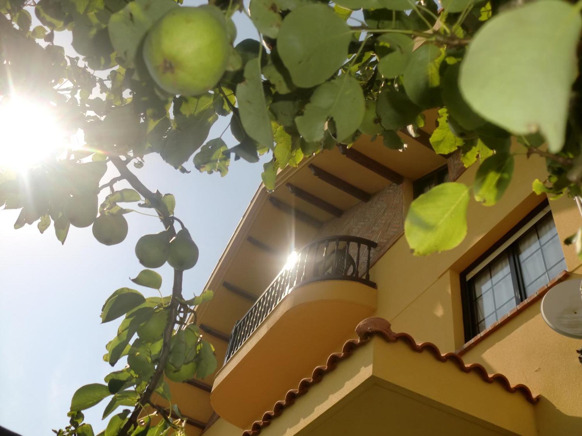 Posada Las Garzas Santona Exterior photo